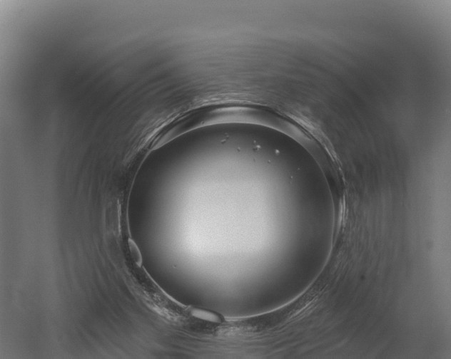X0000052960109200507151746