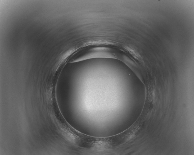X0000052960111200507151746