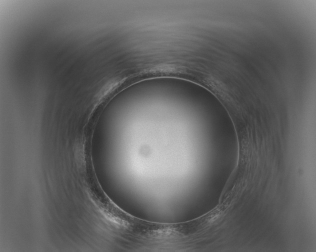 X0000052960112200507151746