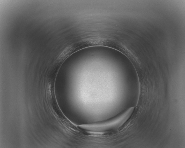 X0000052960117200507151746