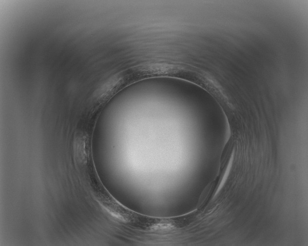 X0000052960119200507151746