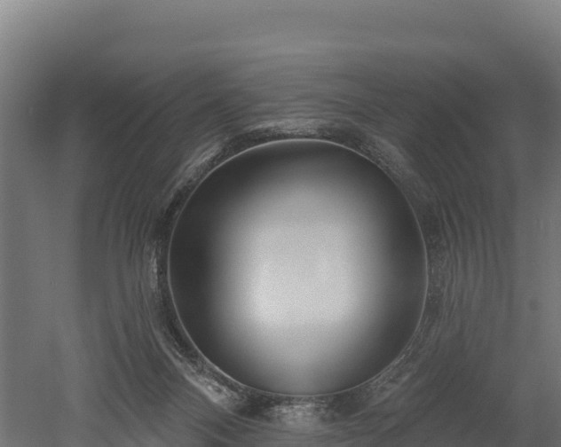 X0000052960120200507151746