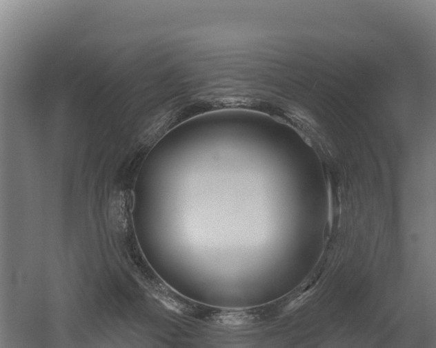 X0000052960121200507151746