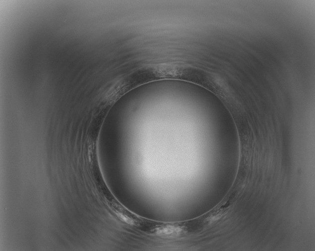 X0000052960125200507151746