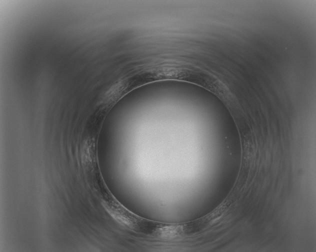 X0000052960126200507151746