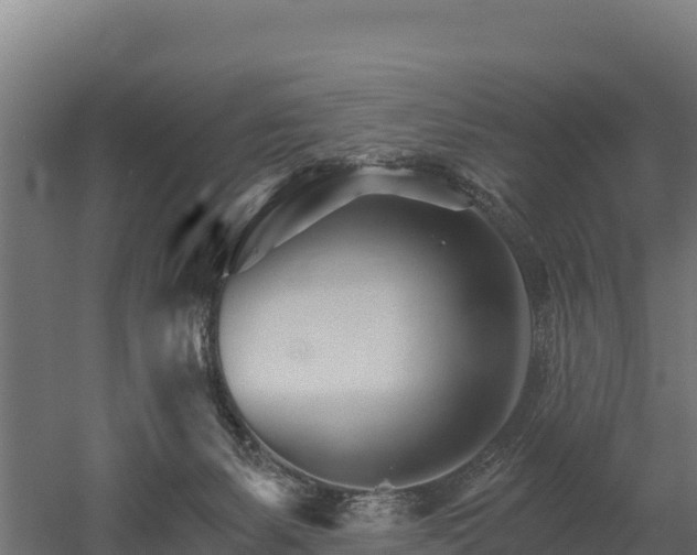 X0000052960127200507151746