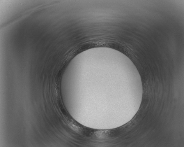X0000052960136200507151745