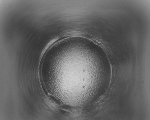 X0000052960147200507151744