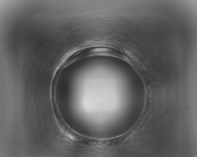 X0000052960148200507151744