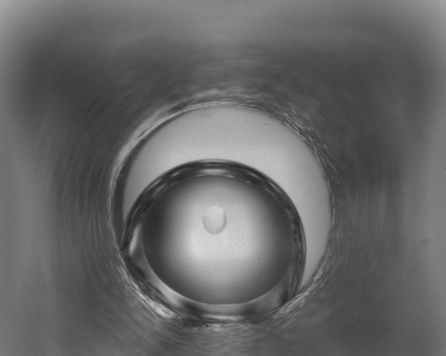 X0000052960150200507151745