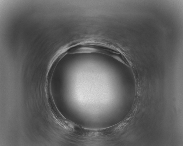 X0000052960152200507151745