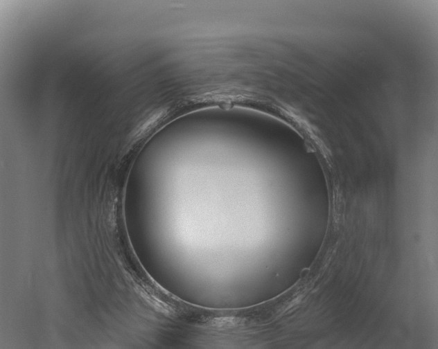 X0000052960153200507151745