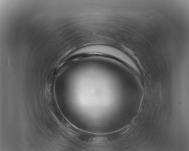 X0000052960154200507151745