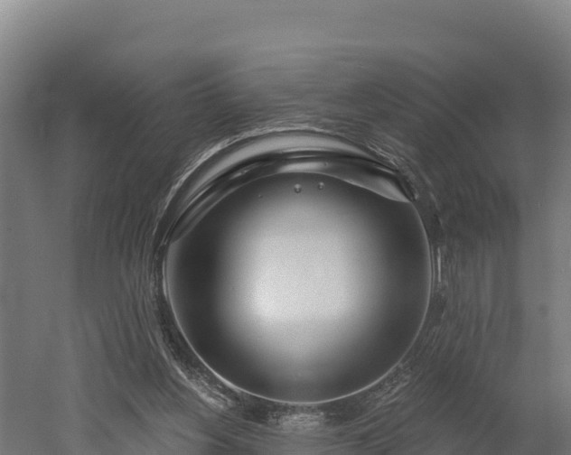 X0000052960156200507151745