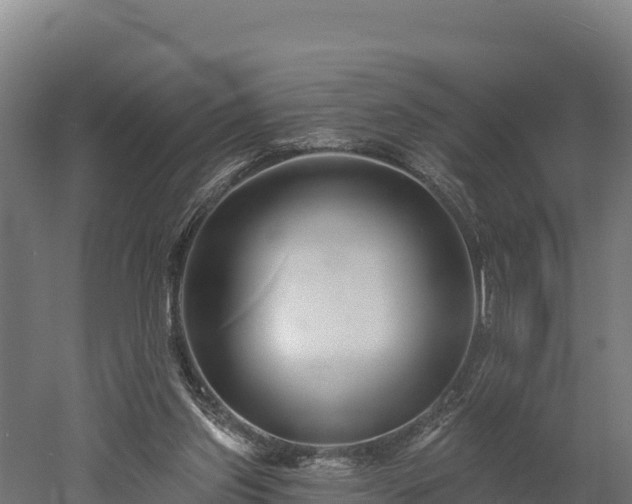 X0000052960157200507151745