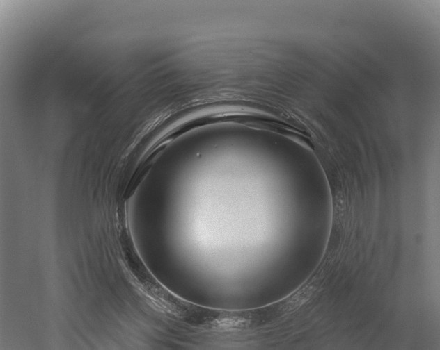 X0000052960158200507151745