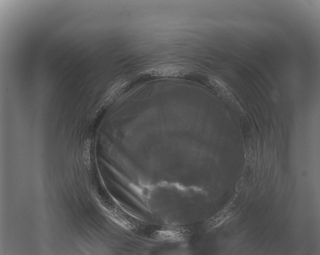 X0000052960167200507151745