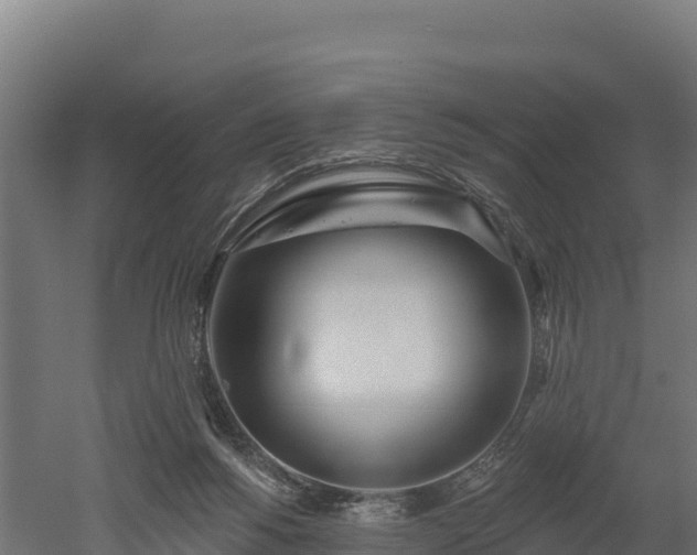 X0000052960168200507151745