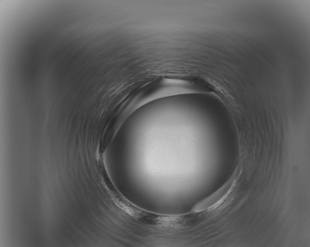 X0000052960192200507151745