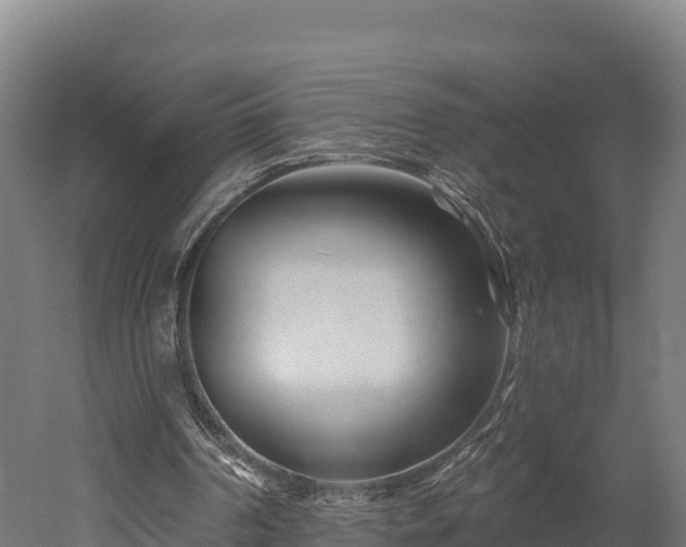 X0000052960194200507151744