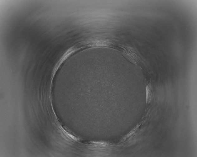 X0000052960195200507151744