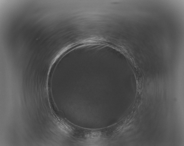 X0000052960196200507151744