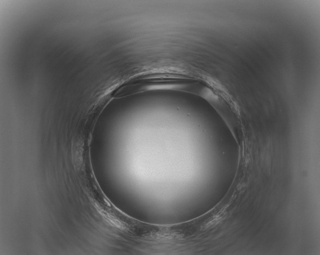 X0000052960201200507151744