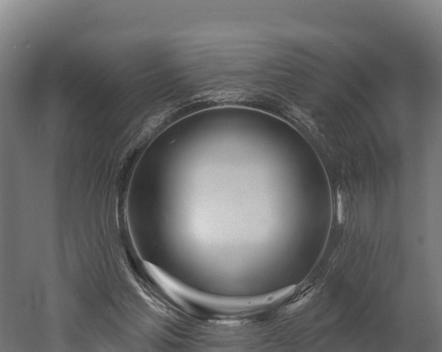 X0000052960205200507151744