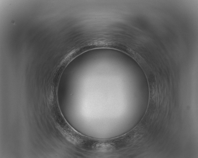 X0000052960208200507151744