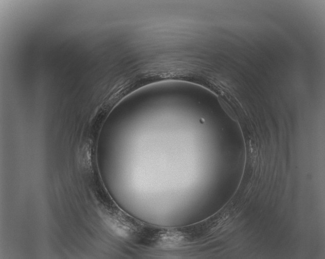 X0000052960214200507151744