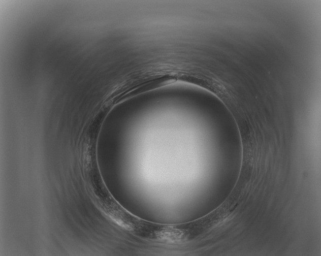X0000052960215200507151744