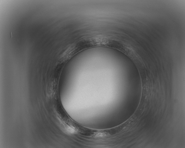 X0000052960218200507151744