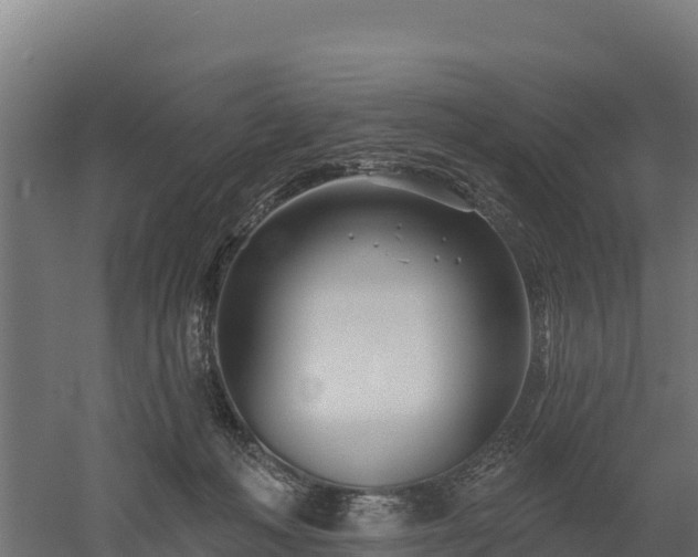 X0000052960222200507151744