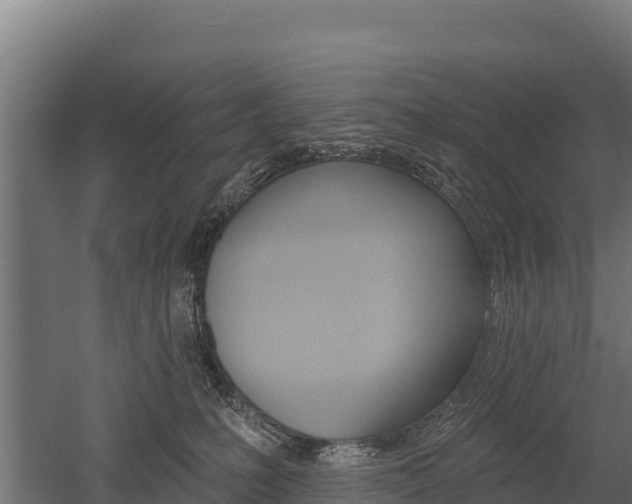 X0000052960231200507151744