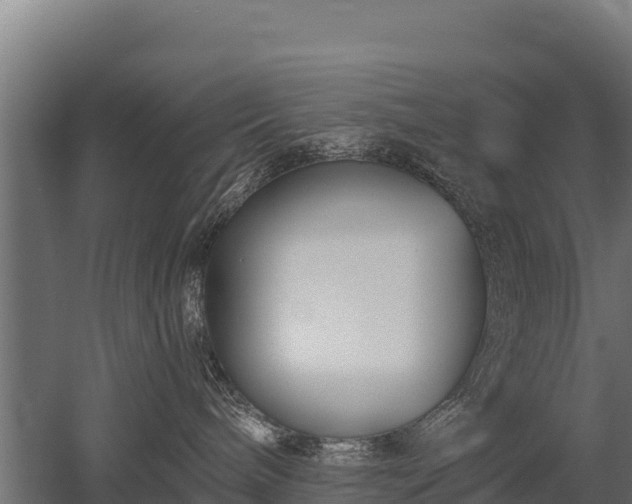 X0000052960240200507151744