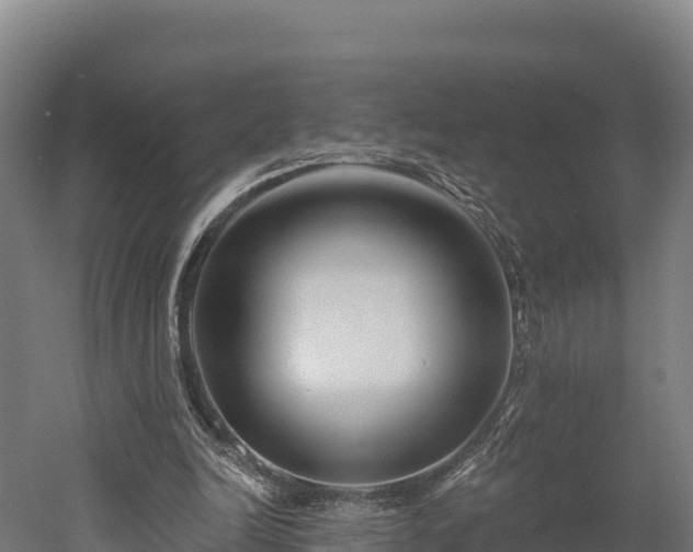 X0000052960246200507151743