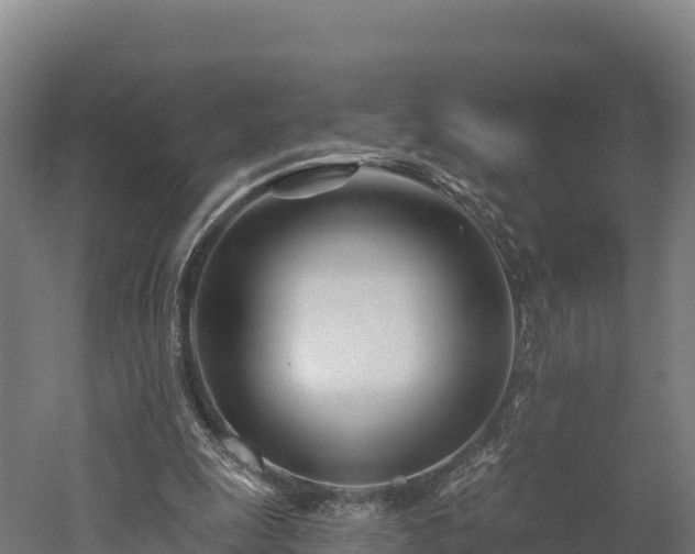 X0000052960247200507151743