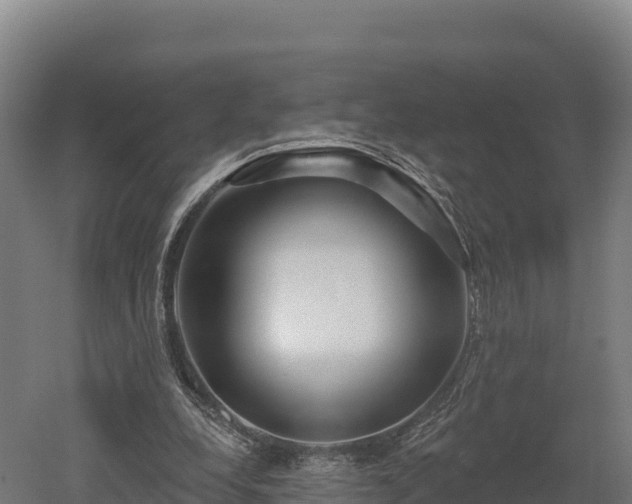 X0000052960248200507151743