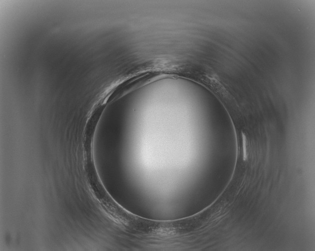 X0000052960252200507151743