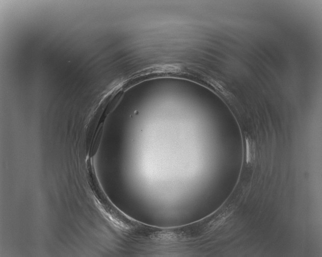 X0000052960253200507151743