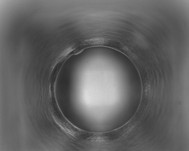 X0000052960254200507151743