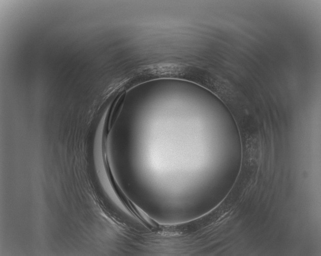 X0000052960255200507151743