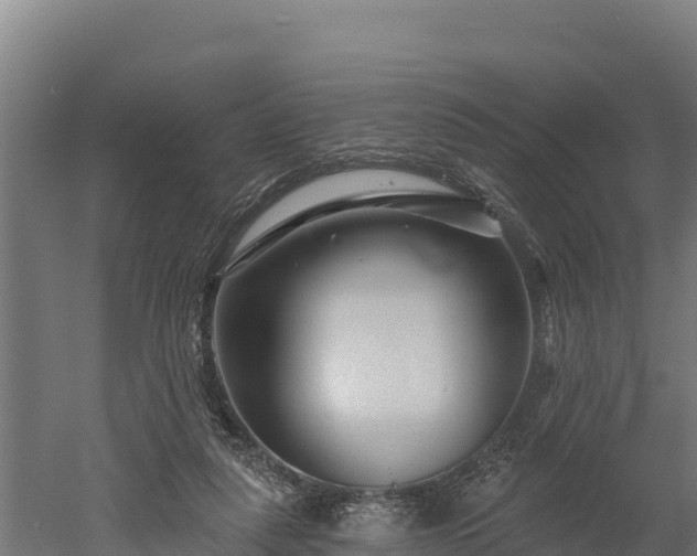 X0000052960259200507151743