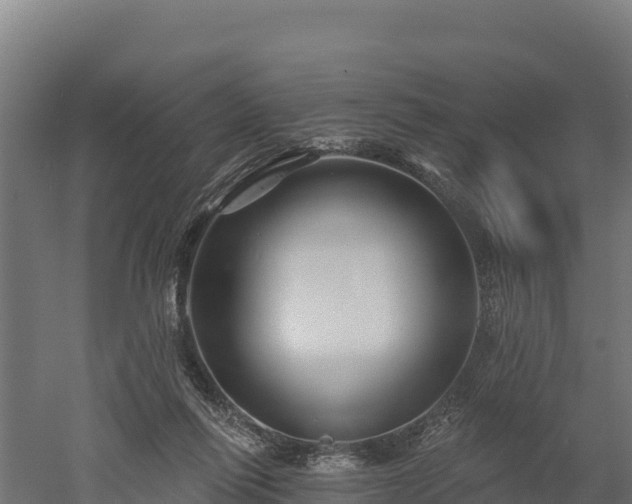 X0000052960262200507151743