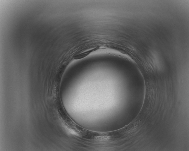 X0000052960266200507151743