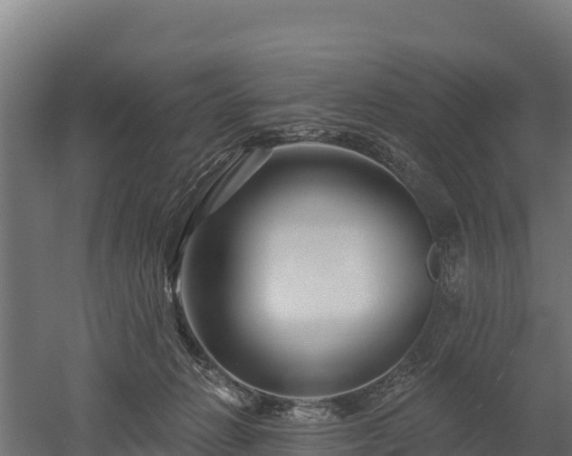 X0000052960270200507151743