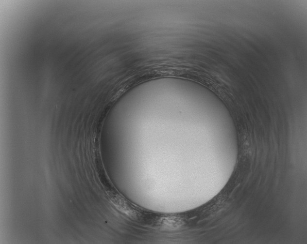 X0000052960275200507151743