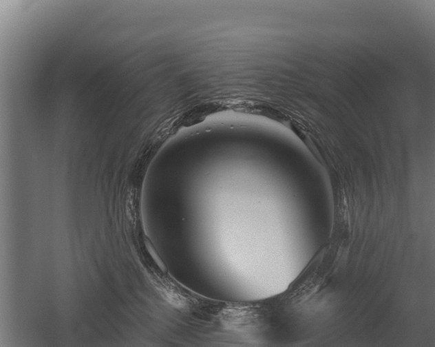 X0000052960280200507151743