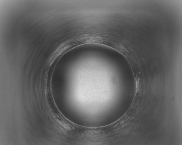 X0000052960291200507151743
