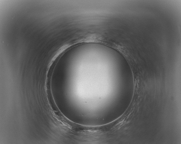 X0000052960292200507151743